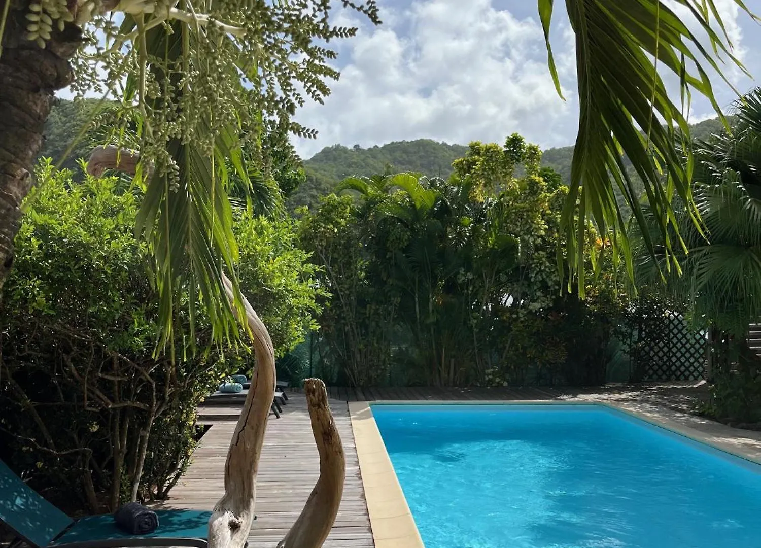 La Villa D'A Cote Le Marin
